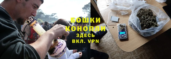 ALPHA PVP Белокуриха